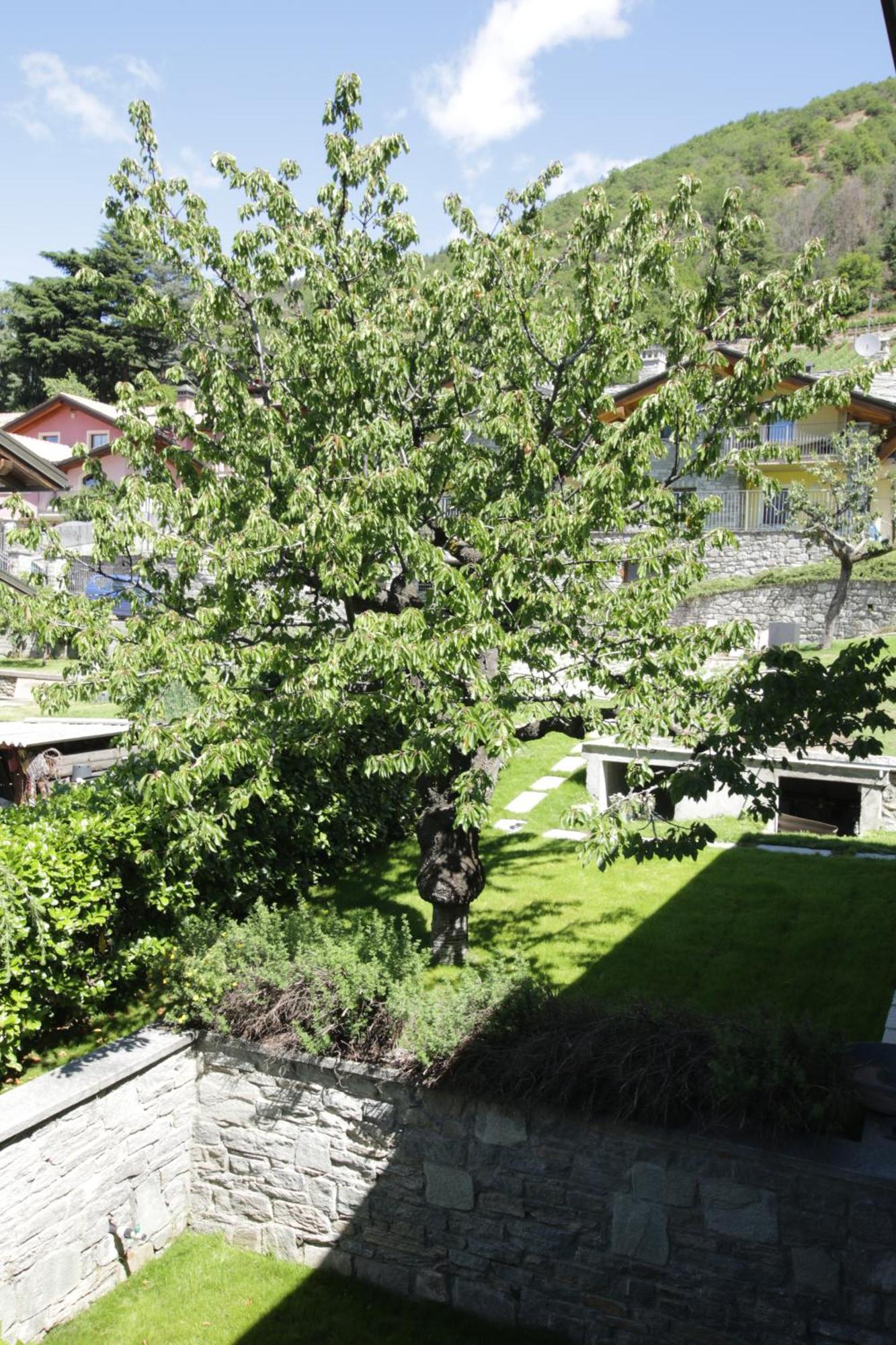 Style Apartments Vda Senin Ngoại thất bức ảnh
